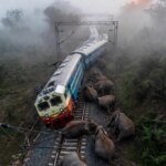 असम में दर्दनाक हादसा : राजधानी एक्सप्रेस की चपेट में आए हाथियों के झुंड, 8 की मौत; इंजन सहित 5 डिब्बे पटरी से उतरे