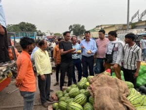 खाद्य सुरक्षा पर सरकार सख्त, प्रदेशभर में सघन जांच अभियान, जांच को भेजे फलों-सब्जियों के 33 नमूने, आयुक्त सचिन कुर्वे ने कहा – चारधाम यात्रा के दौरान प्रदेश में आने वाले श्रद्धालुओं के सेहत की सुरक्षा राज्य सरकार की सर्वोच्च प्राथमिकता