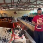 मुख्यमंत्री स्वरोजगार योजना से बदली राहुल गुसाईं की तकदीर, डेयरी व्यवसाय से बने आत्मनिर्भर