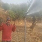 न्यूली लिफ्ट सिंचाई योजना से बदली गांवों की तस्वीर, बंजर खेतों में लौटी हरियाली और किसानों के चेहरों पर मुस्कान