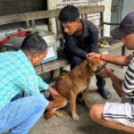 कुत्तों के हमले से दहशत, नारायणबगड़ में रेस्क्यू-टीकाकरण अभियान तेज