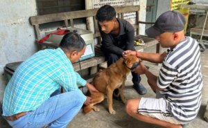 कुत्तों के हमले से दहशत, नारायणबगड़ में रेस्क्यू-टीकाकरण अभियान तेज
