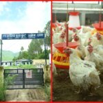 टिहरी : छाम की राजकीय ब्रॉयलर हैचरी बनी किसानों की आय बढ़ाने का मजबूत आधार, गुणवत्तापूर्ण चूजों से कुक्कुट पालन को मिल रही नई उड़ान