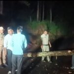 रात में सड़क पर गिरा विशाल चीड़ का पेड़, रिखणीखाल पुलिस ने शिक्षक को सुरक्षित पहुंचाया